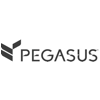 Pegasus Solutions;