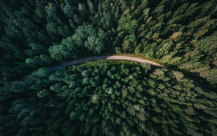 View of a road from above - Unsplash