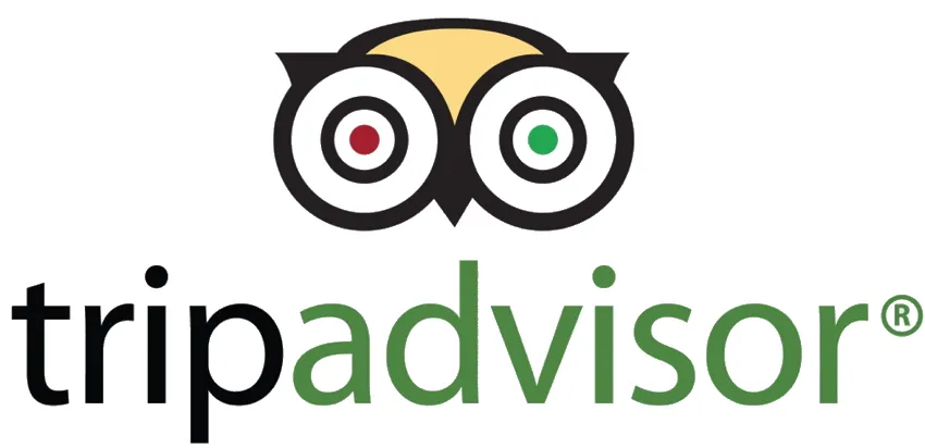 Many Investors Believe That Tripadvisor Is an Outdated Brand